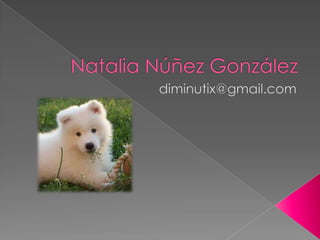 Natalia Núñez González diminutix@gmail.com 
