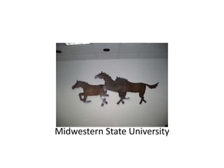 Midwestern State University
 