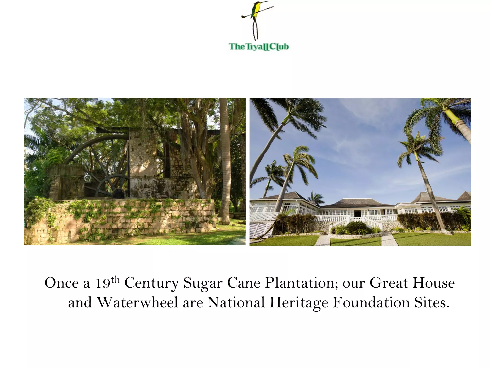 Once a 19th Century Sugar Cane Plantation; our Great House
and Waterwheel are National Heritage Foundation Sites.
 