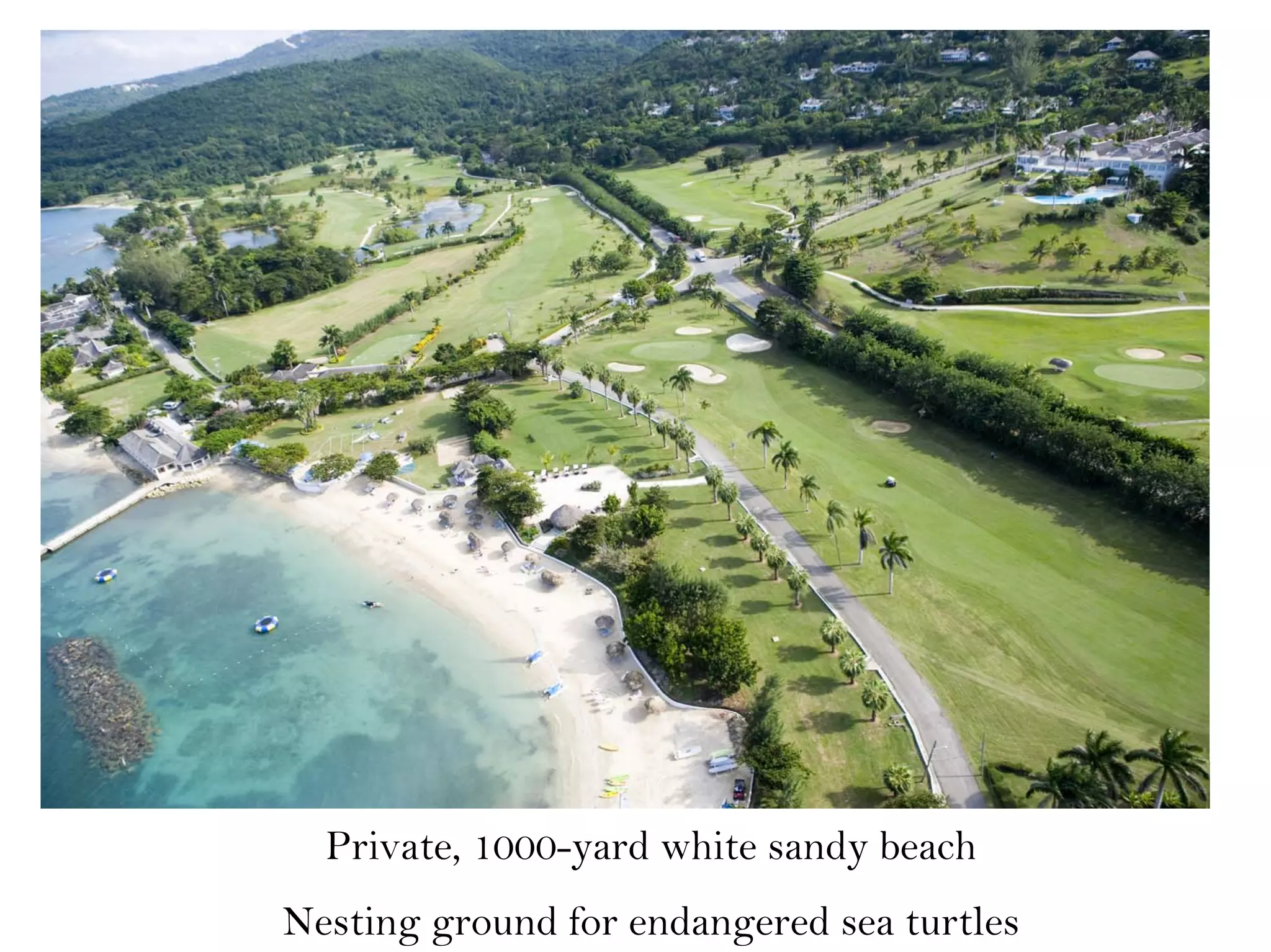 Private, 1000-yard white sandy beach
Nesting ground for endangered sea turtles
 