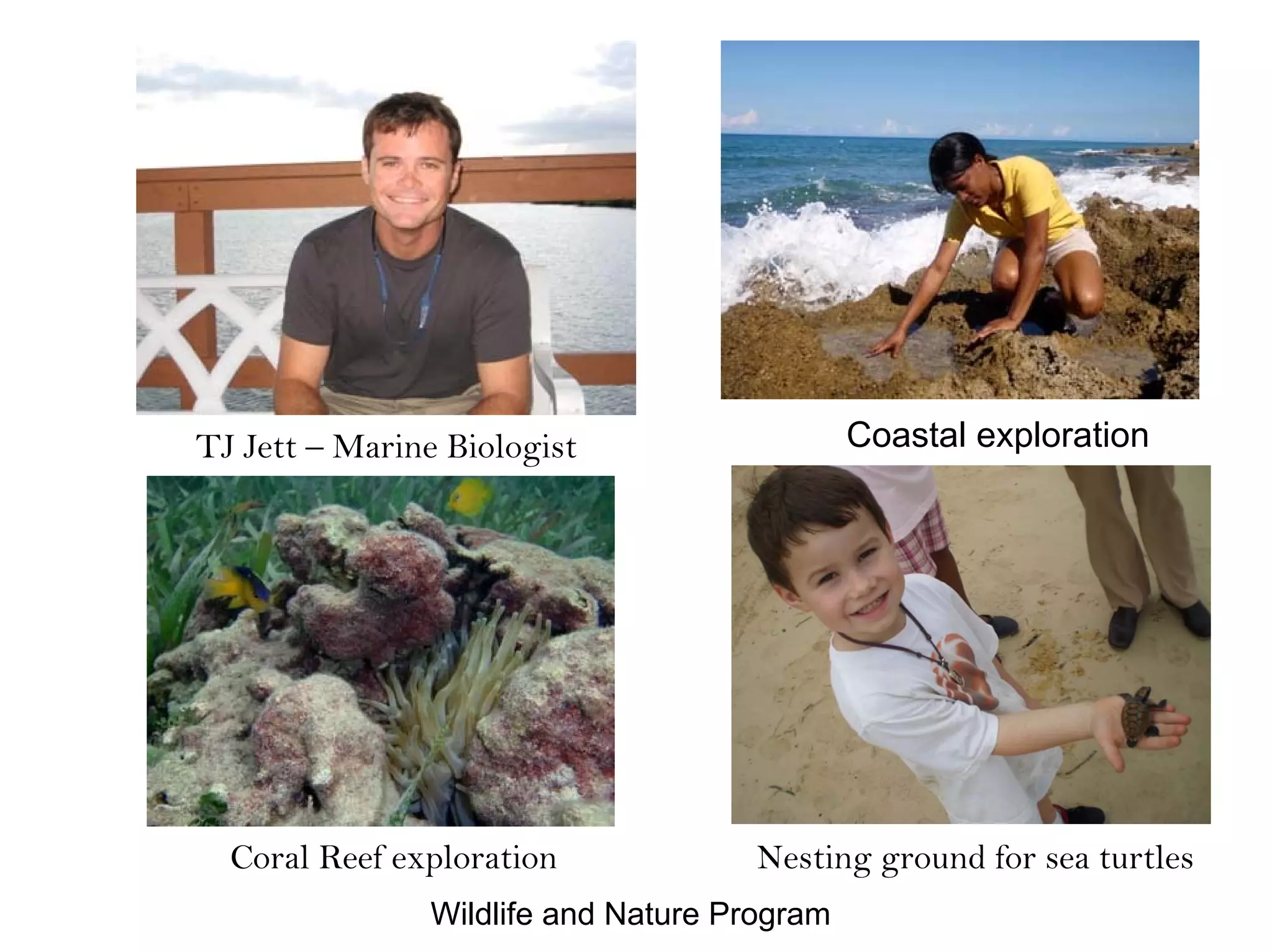 Coastal explorationTJ Jett – Marine Biologist
Wildlife and Nature Program
Coral Reef exploration Nesting ground for sea turtles
 