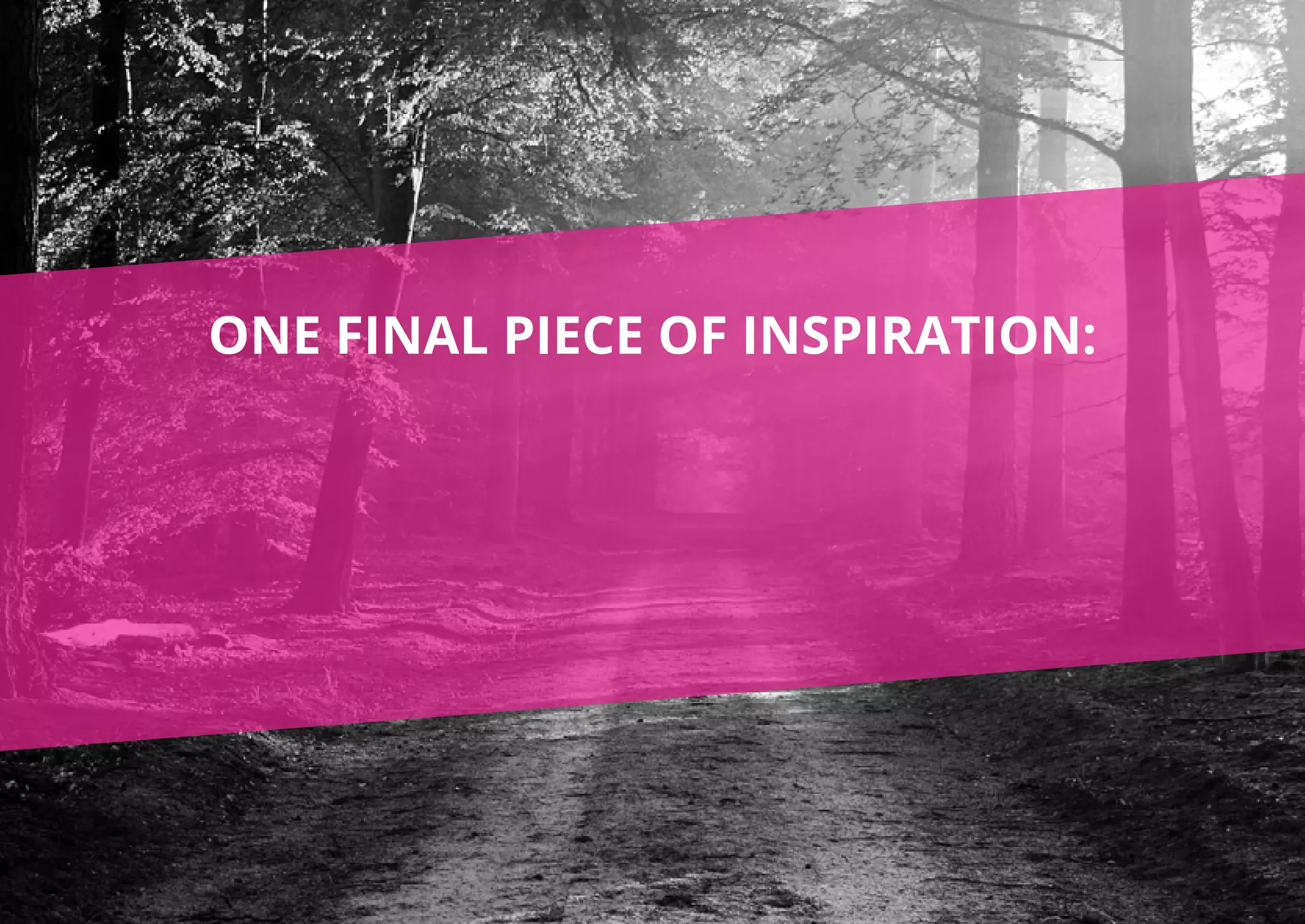 ONE FINAL PIECE OF INSPIRATION:
 