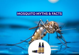 Mosquitos Myths & Facts