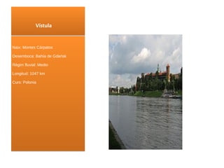 Vístula Naix : Montes Cárpatos Desemboca: Bahía de Gdańsk Règim fluvial: Medio Longitud: 1047 km Curs : Polonia 