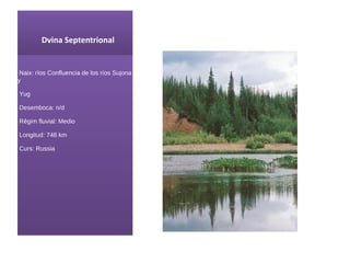 Dvina Septentrional Naix : ríos Confluencia de los ríos Sujona y Yug Desemboca: n/d Rêgim fluvial: Medio Longitud: 748 km Curs : Russia 