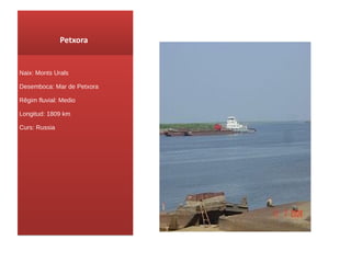 Petxora Naix : Monts Urals Desemboca: Mar de Petxora Rêgim fluvial: Medio Longitud: 1809 km Curs : Russia 