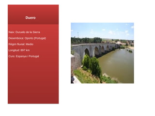Duero Naix : Duruelo de la Sierra Desemboca: Oporto (Portugal) Règim fluvial: Medio Longitud: 897 km Curs : Espanya i Portugal 