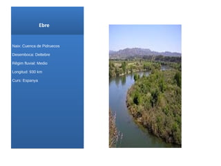 Ebre Naix : Cuenca de Pidruecos Desemboca: Deltebre Rêgim fluvial: Medio Longitud: 930 km Curs : Espanya 