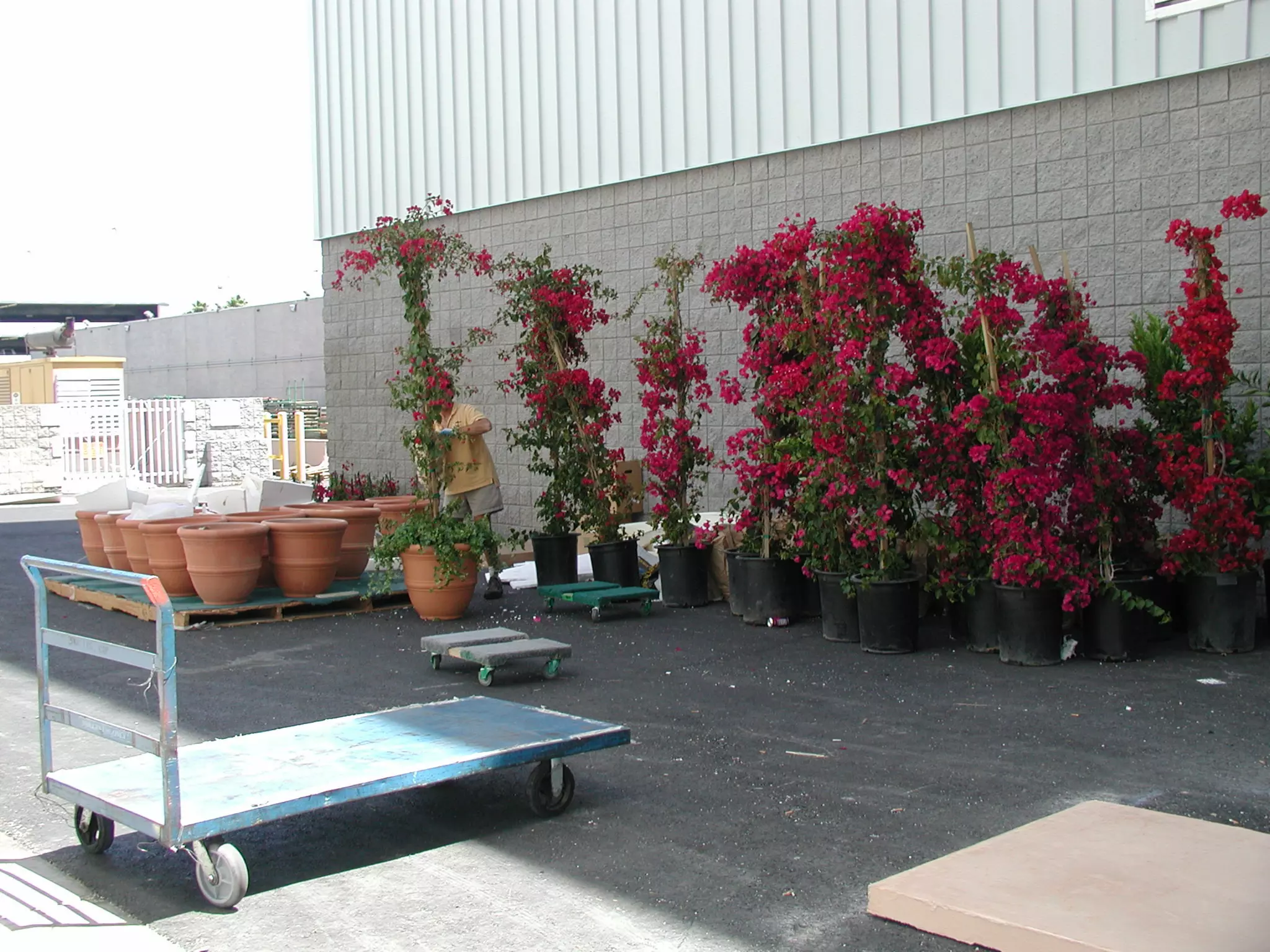 Exhibits, Displays, Booths, ICSC, Las Vegas