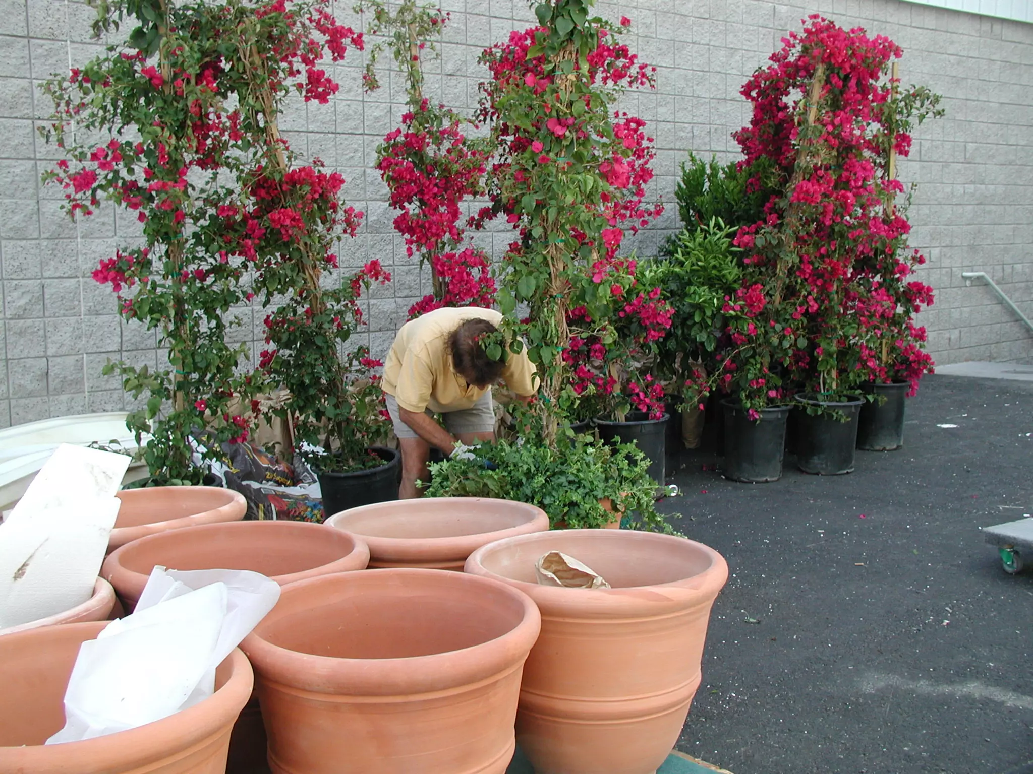 Exhibits, Displays, Booths, ICSC, Las Vegas