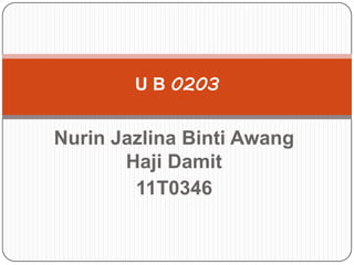 U B 0203


Nurin Jazlina Binti Awang
       Haji Damit
        11T0346
 