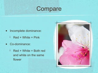 Compare


•   Incomplete dominance:

      Red + White = Pink

•   Co-dominance:

      Red + White = Both red
      and white on the same
      flower
 