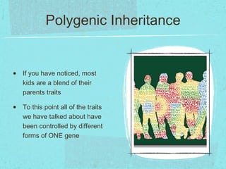 Polygenic Inheritance


•   If you have noticed, most
    kids are a blend of their
    parents traits

•   To this point all of the traits
    we have talked about have
    been controlled by different
    forms of ONE gene
 