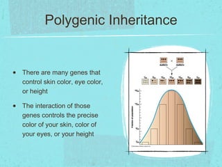 Polygenic Inheritance


•   There are many genes that
    control skin color, eye color,
    or height

•   The interaction of those
    genes controls the precise
    color of your skin, color of
    your eyes, or your height
 