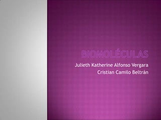 Julieth Katherine Alfonso Vergara
          Cristian Camilo Beltrán
 