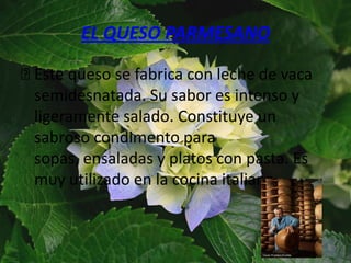 EL QUESO PARMESANO

ᴂEste queso se fabrica con leche de vaca
 semidesnatada. Su sabor es intenso y
 ligeramente salado. Constituye un
 sabroso condimento para
 sopas, ensaladas y platos con pasta. Es
 muy utilizado en la cocina italiana.
 