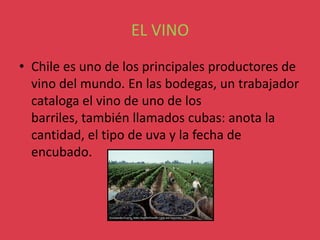 EL VINO
• Chile es uno de los principales productores de
  vino del mundo. En las bodegas, un trabajador
  cataloga el vino de uno de los
  barriles, también llamados cubas: anota la
  cantidad, el tipo de uva y la fecha de
  encubado.
 