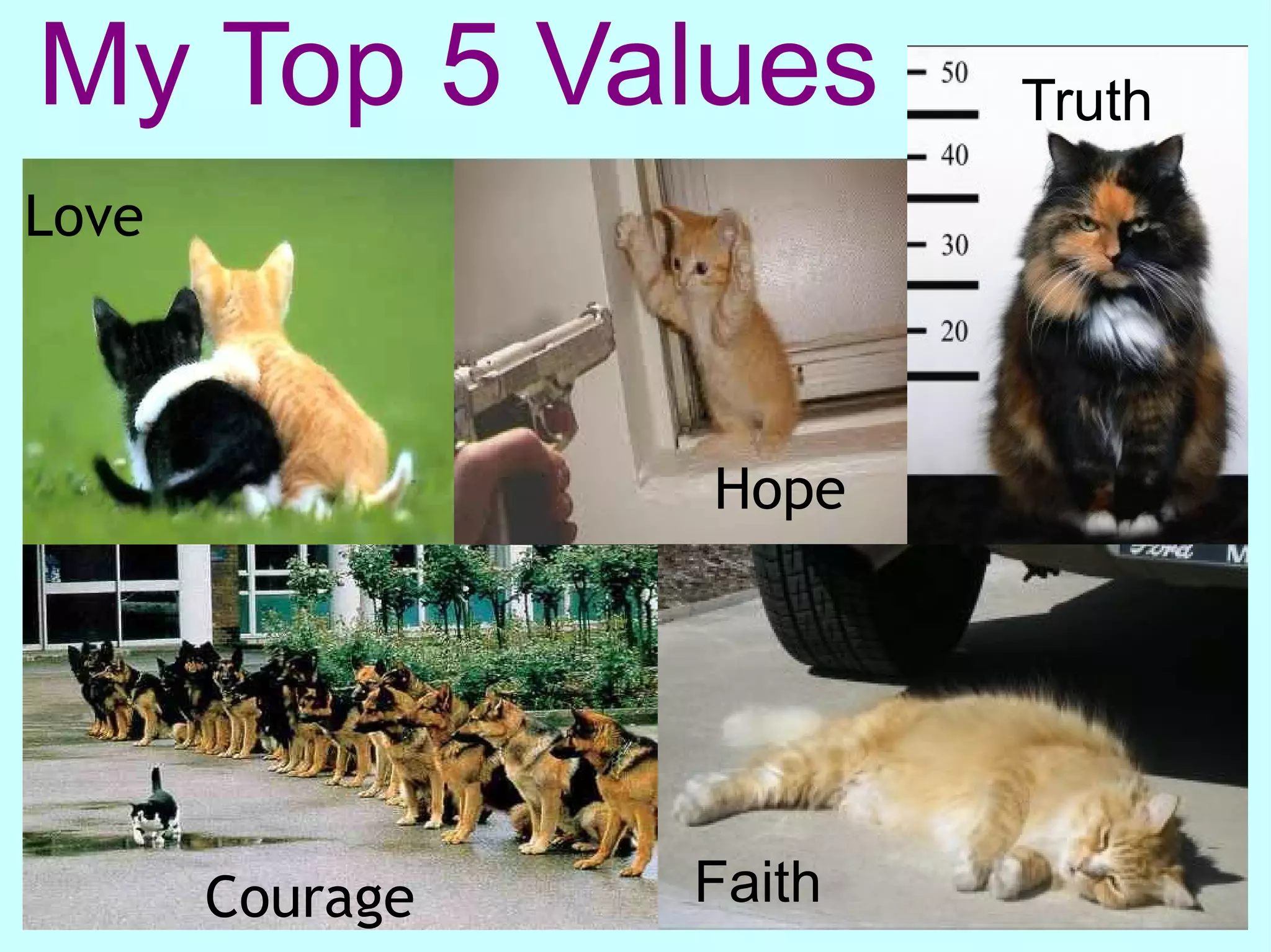 My Top 5 Values          Truth

Love



                 Hope




       Courage   Faith
 