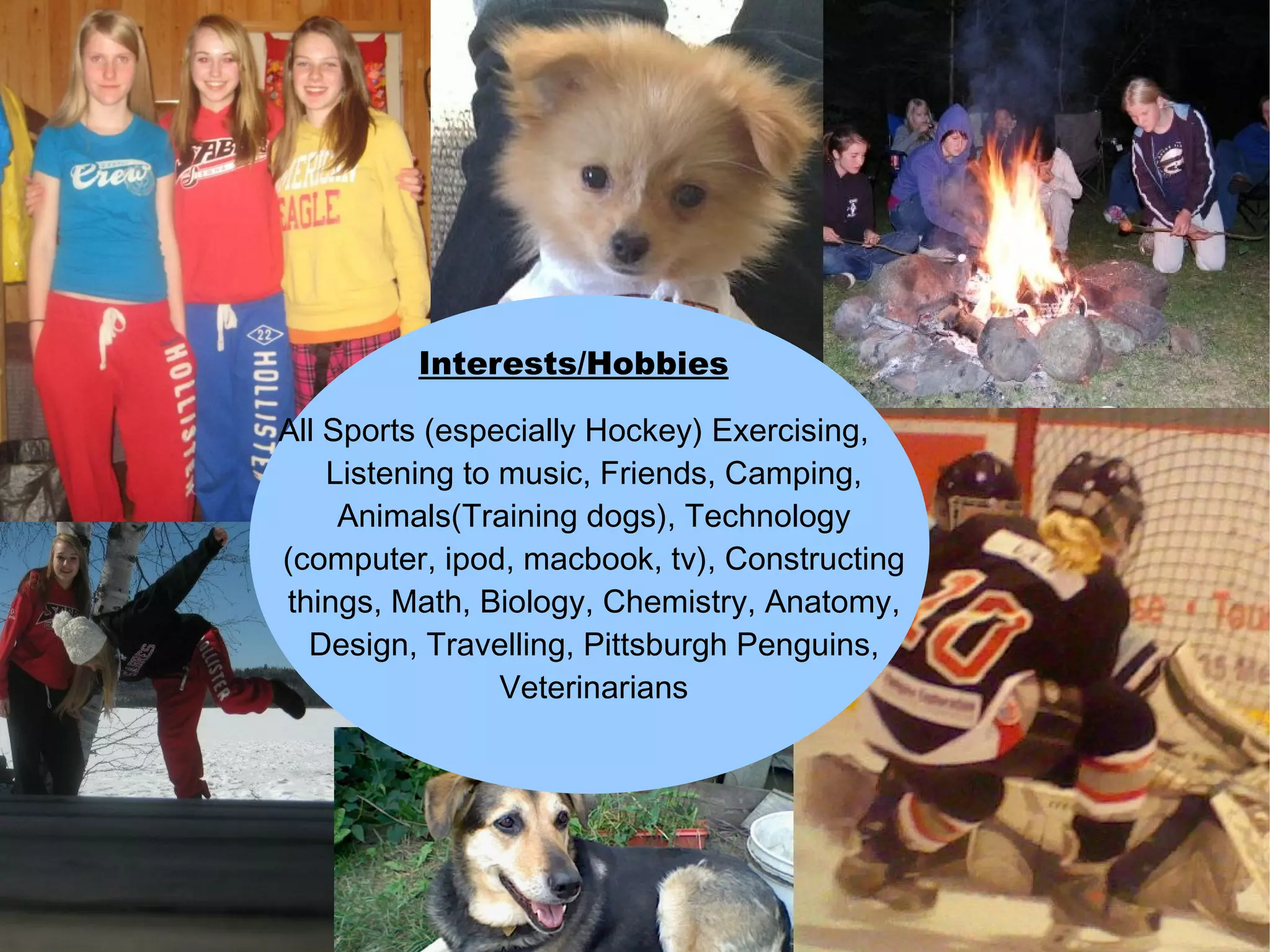 Interests/Hobbies

All Sports (especially Hockey) Exercising,
    Listening to music, Friends, Camping,
     Animals(Training dogs), Technology
(computer, ipod, macbook, tv), Constructing
things, Math, Biology, Chemistry, Anatomy,
  Design, Travelling, Pittsburgh Penguins,
                 Veterinarians
 