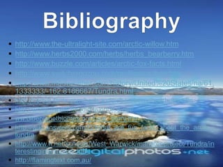    http://www.the-ultralight-site.com/arctic-willow.htm
   http://www.herbs2000.com/herbs/herbs_bearberry.htm
   http://www.buzzle.com/articles/arctic-fox-facts.html
   http://www.switcheroozoo.com/profiles/caribou.htm
   http://www.meoweather.com/history/United%20States/na/61.
    1333333/-162.8166667/Tundra.html
 http://herbal-facts.com/herb_index/bearberry/bearberry.htm
 http://whttp://www.freedigitalphotos.net/
 ww.blueplanetbiomes.org/bear_berry.htm
 http://wiki.answers.com/Q/What_are_fun_facts_about_the_arctic_
  tundra
 http://www.ri.net/schools/West_Warwick/manateeproject/Tundra/in
  terestinginformation.htm
 http://flamingtext.com.au/
 