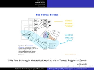Motivation
                                 HMAX Model
                                 Improvements
                                     Summary




(slide from Learning in Hierarchical Architectures – Tomaso Poggio (McGovern
                                                                                       Institute))
       Federico Raue Rodriguez (raue@iupr.com)   Biological Inspired Systems applied to Computer Vision
 