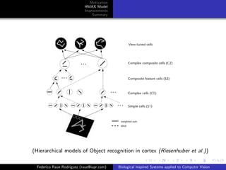 Motivation
                           HMAX Model
                           Improvements
                               Summary




(Hierarchical models of Object recognition in cortex (Riesenhuber et al.))

 Federico Raue Rodriguez (raue@iupr.com)   Biological Inspired Systems applied to Computer Vision
 