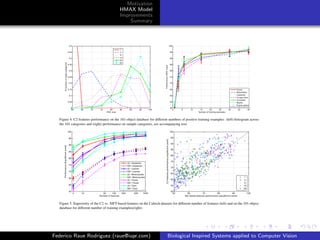 Motivation
                          HMAX Model
                          Improvements
                              Summary




Federico Raue Rodriguez (raue@iupr.com)   Biological Inspired Systems applied to Computer Vision
 