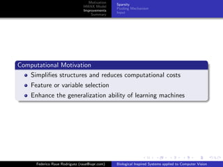 Motivation
                                                Sparsity
                                HMAX Model
                                                Pooling Mechanism
                                Improvements
                                                Input
                                    Summary




Computational Motivation
   Simpliﬁes structures and reduces computational costs
    Feature or variable selection
    Enhance the generalization ability of learning machines




      Federico Raue Rodriguez (raue@iupr.com)   Biological Inspired Systems applied to Computer Vision
 