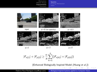 Motivation
                                           Sparsity
                          HMAX Model
                                           Pooling Mechanism
                          Improvements
                                           Input
                              Summary




                                           n
                                α
         |Fx(i) | + |Fy (i) | ≥                 (|Fx(k) | + |Fy (k) |)
                                n
                                          k=1

                     (Enhanced Biologically Inspired Model (Huang et al.))

Federico Raue Rodriguez (raue@iupr.com)    Biological Inspired Systems applied to Computer Vision
 