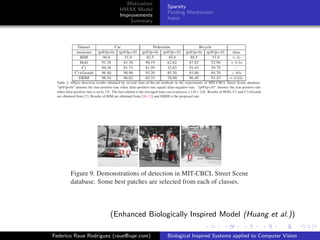 Motivation
                                          Sparsity
                          HMAX Model
                                          Pooling Mechanism
                          Improvements
                                          Input
                              Summary




                       (Enhanced Biologically Inspired Model (Huang et al.))

Federico Raue Rodriguez (raue@iupr.com)   Biological Inspired Systems applied to Computer Vision
 