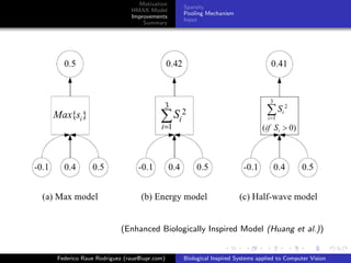 Motivation
                                          Sparsity
                          HMAX Model
                                          Pooling Mechanism
                          Improvements
                                          Input
                              Summary




                       (Enhanced Biologically Inspired Model (Huang et al.))


Federico Raue Rodriguez (raue@iupr.com)   Biological Inspired Systems applied to Computer Vision
 