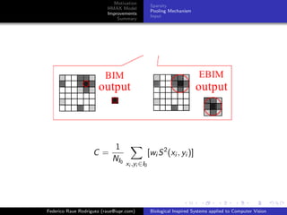 Motivation
                                                 Sparsity
                          HMAX Model
                                                 Pooling Mechanism
                          Improvements
                                                 Input
                              Summary




                             1
                    C=                          [wi S 2 (xi , yi )]
                            NI 0
                                   xi ,yi ∈I0




Federico Raue Rodriguez (raue@iupr.com)          Biological Inspired Systems applied to Computer Vision
 