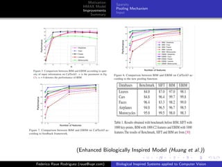 Motivation
                                          Sparsity
                          HMAX Model
                                          Pooling Mechanism
                          Improvements
                                          Input
                              Summary




                       (Enhanced Biologically Inspired Model (Huang et al.))

Federico Raue Rodriguez (raue@iupr.com)   Biological Inspired Systems applied to Computer Vision
 