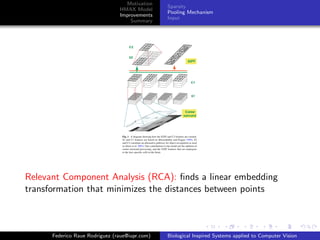 Motivation
                                                Sparsity
                                HMAX Model
                                                Pooling Mechanism
                                Improvements
                                                Input
                                    Summary




Relevant Component Analysis (RCA): ﬁnds a linear embedding
transformation that minimizes the distances between points



      Federico Raue Rodriguez (raue@iupr.com)   Biological Inspired Systems applied to Computer Vision
 