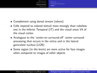 Motivation
                                            Sparsity
                            HMAX Model
                                            Pooling Mechanism
                            Improvements
                                            Input
                                Summary




Complement using dorsal stream (where)
Cells respond to colored stimuli more strongly than colorless
one in the Inferior Temporal (IT) and the visual areas V4 of
the visual cortex
Analogous to the ’center-on surround-oﬀ’ center surround
processing that occurs in the retina and in the lateral
geniculate nucleus (LGN)
Some region (in the brain) are more active for face images
when compared to images of other objects




  Federico Raue Rodriguez (raue@iupr.com)   Biological Inspired Systems applied to Computer Vision
 