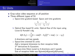 Motivation
                                                     Sparsity
                                 HMAX Model
                                                     Pooling Mechanism
                                 Improvements
                                                     Input
                                     Summary


S1 Units
     Gray-value video sequence at all position
     Three diﬀerent types of S1
       a Space-time gradient-based: Space and time gradients
                                                    It     It
                                            |          | |     |
                                                 Ix + 1 Iy + 1
       b Optical ﬂow based S1 units: Optical ﬂow of the input using
         Lucas & Kanade’s alg.
                            1
               b(θ, θp ) = { [1 + cos(θ − θp )]}q × exp(−|v − vp |)
                            2
         4 directions and two speeds
       c Space-time oriented S1 units:
         Add a temporal dimension to their receptive ﬁelds
         3rd derivatives fo Gaussians
         8 space-time ﬁlters tuned to 4 directions and 2 speeds
         Size of receptive ﬁelds was 9(pixels)x9(pixels)x9(frames)
       Federico Raue Rodriguez (raue@iupr.com)       Biological Inspired Systems applied to Computer Vision
 