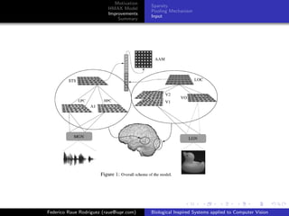 Motivation
                                          Sparsity
                          HMAX Model
                                          Pooling Mechanism
                          Improvements
                                          Input
                              Summary




Federico Raue Rodriguez (raue@iupr.com)   Biological Inspired Systems applied to Computer Vision
 