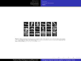 Motivation
                                          Sparsity
                          HMAX Model
                                          Pooling Mechanism
                          Improvements
                                          Input
                              Summary




Federico Raue Rodriguez (raue@iupr.com)   Biological Inspired Systems applied to Computer Vision
 