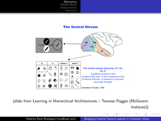 Motivation
                                 HMAX Model
                                 Improvements
                                     Summary




(slide from Learning in Hierarchical Architectures – Tomaso Poggio (McGovern
                                                                                       Institute))

       Federico Raue Rodriguez (raue@iupr.com)   Biological Inspired Systems applied to Computer Vision
 