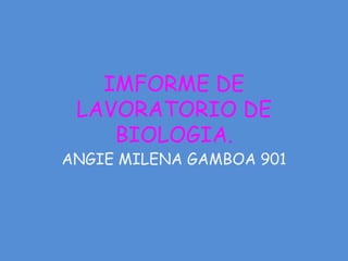 IMFORME DE
 LAVORATORIO DE
    BIOLOGIA.
ANGIE MILENA GAMBOA 901
 