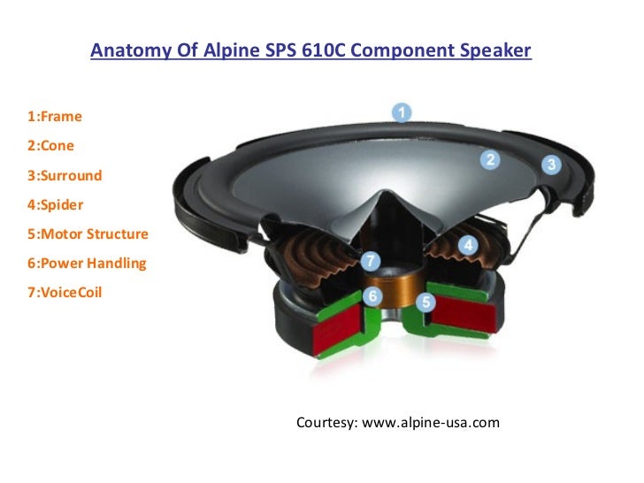 Anatomy of Component Speaker