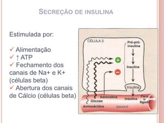 SECREÇÃO DE INSULINA


Estimulada por:

 Alimentação
 ↑ ATP
 Fechamento dos
canais de Na+ e K+
(células beta)
 Abertura dos canais
de Cálcio (células beta)
 