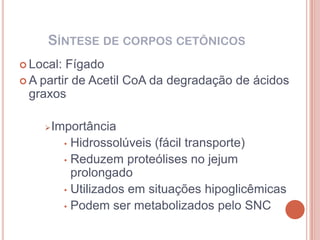 SÍNTESE DE CORPOS CETÔNICOS
 Local: Fígado
 A partir de Acetil CoA da degradação de ácidos
  graxos

       Importância
          • Hidrossolúveis (fácil transporte)
          • Reduzem proteólises no jejum
            prolongado
          • Utilizados em situações hipoglicêmicas
          • Podem ser metabolizados pelo SNC
 