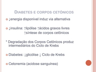 DIABETES E CORPOS CETÔNICOS
 ↓energia   disponível induz via alternativa

 ↓insulina:   ↑lipólise ↑ácidos graxos livres
               ↑síntese de corpos cetônicos

* Degradação dos Corpos Cetônicos produz
  intermediários do Ciclo de Krebs

 Diabetes:    ↓glicólise ↓ Ciclo de Krebs

 Cetonemia     (acidose sanguínea)
 