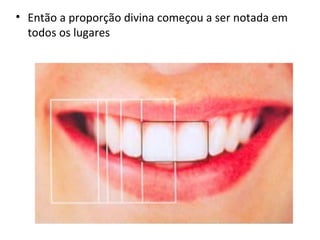 Então a proporção divina começou a ser notada em todos os lugares 