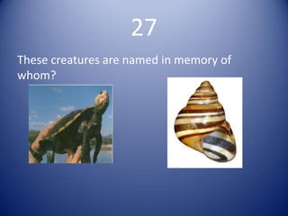 27
These creatures are named in memory of
whom?
 