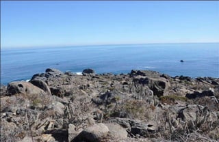 Terrenos El Arrayan, La Serena, Chile