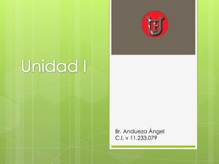 Br. Andueza Ángel
C.I. v 11.233.079
 