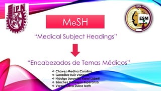 MeSH
“Medical Subject Headings”
“Encabezados de Temas Médicos”
 Chávez Medina Carolina
 González Ruíz Vanessa
 Hidalgo Jaramillo Karol Lizbett
 Sánchez Castrejón Esperanza
 Varela Oliva Dulce Izeth
 