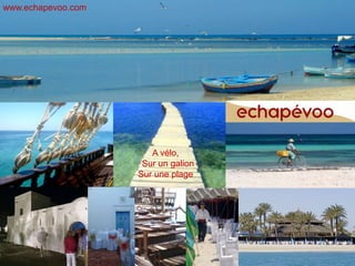 www.echapevoo.com




                       A vélo,
                     Sur un galion
                    Sur une plage
 